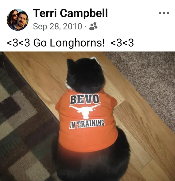 Oreo the cat wearing a Texas shirt